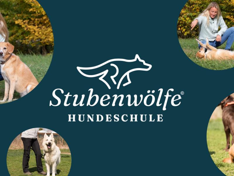 Hundeschule Stubenwölfe