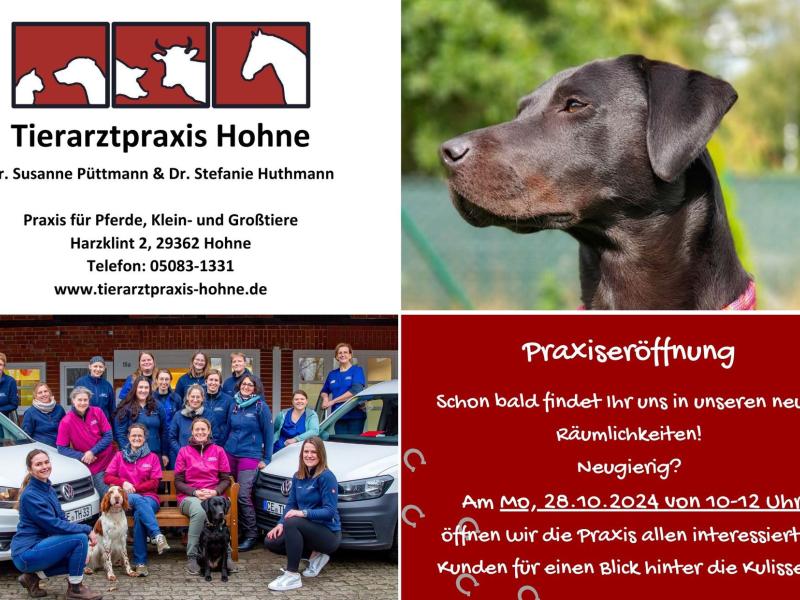 Dr. Susanne Lier und Dr. Stefanie Huthmann "Tierarztpraxis Hohne"