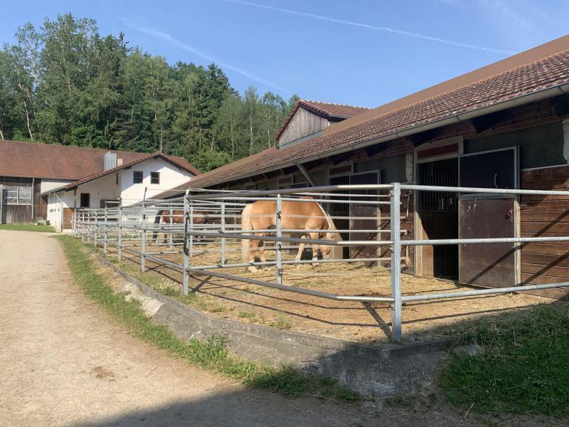 Reit - und Fahrverein Viechtach Stadt und Land e.V.