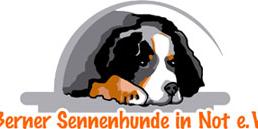 Berner Sennenhunde in Not e.V.