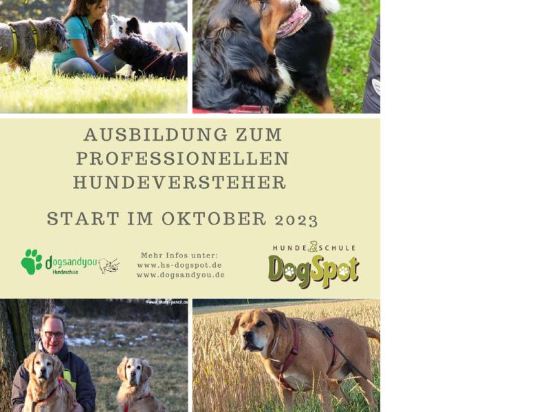 dogsandyou mobile Hundeschule