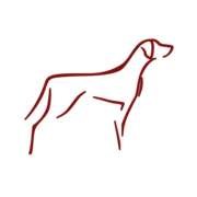 Hundeschule für alle Felle in Weilheim