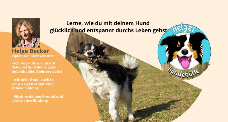 Helge Becker Hundeschule "Helges Hundehütte"