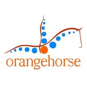 Orangehorse Physio Saddlery