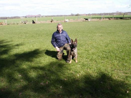 Mobile Hundeschule