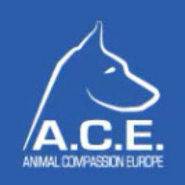 A.C.E. - Animal Compassion Europe - Tiere in Not e.V.