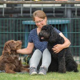 Hundeschule TeamWerk