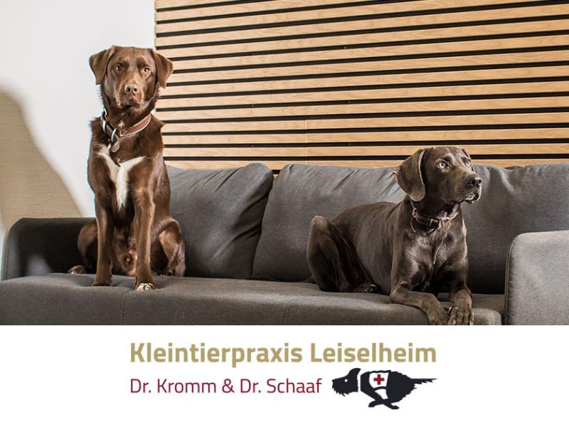 Dr. Heike Axmacher und Dr. Karoline Kromm Kleintierpraxis