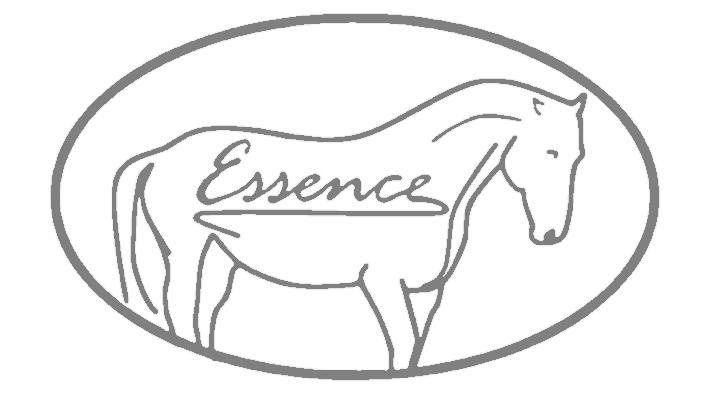 Reitsport Essence