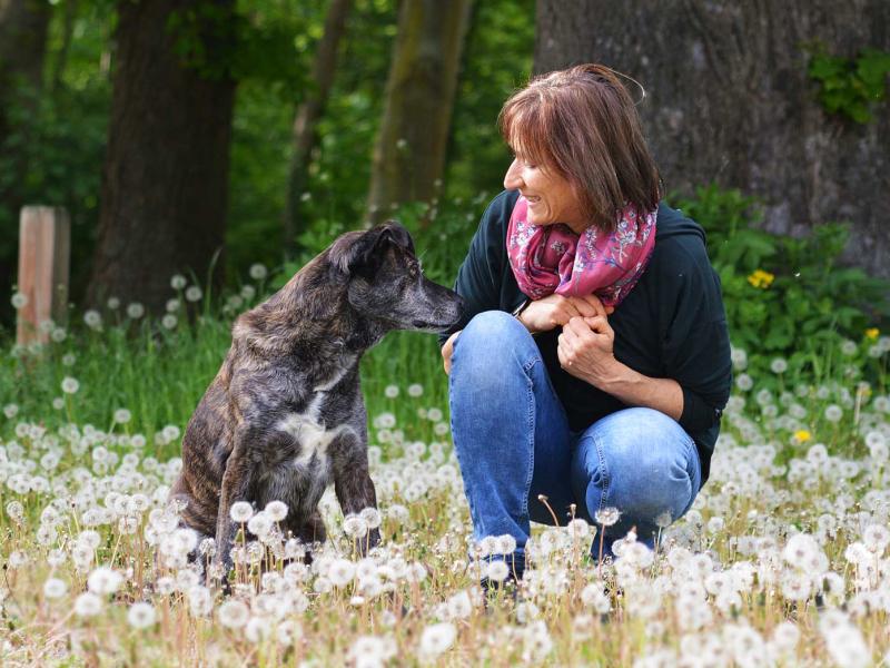 Tierzeit Katzenschule. Hundeschule Viola Heuter