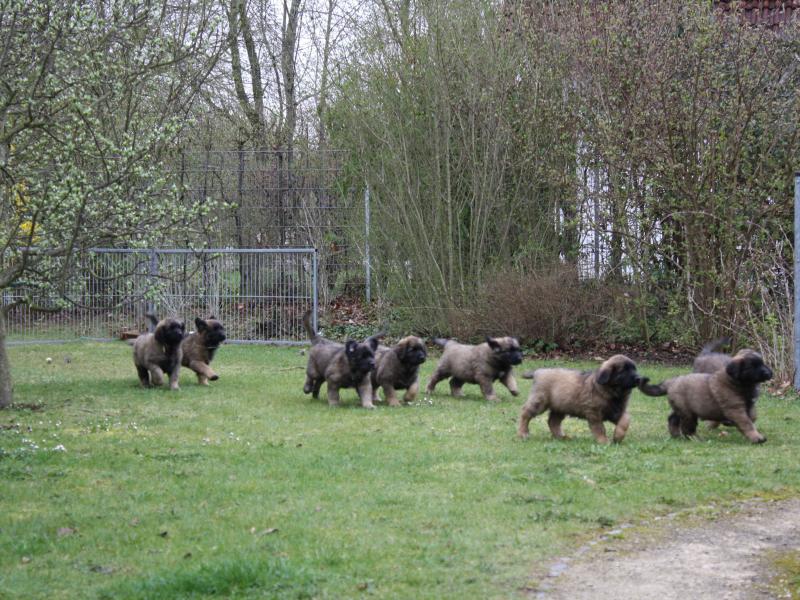 Dr. med. vet. Michael Scherer prakt. Tierarzt