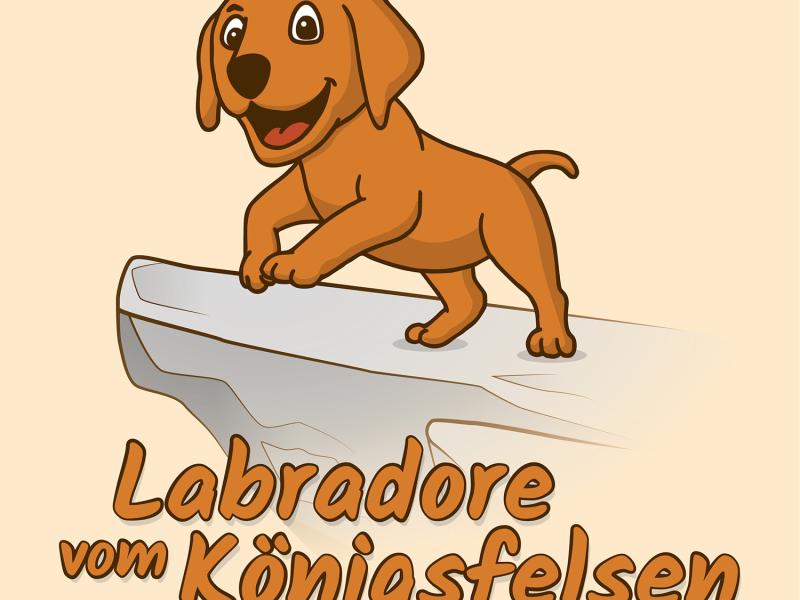 Labradore vom Königsfelsen