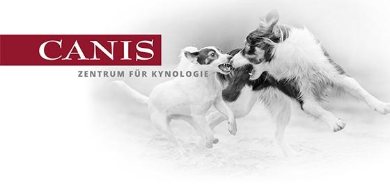 Canis GmbH & Co. KG