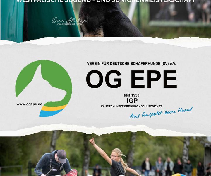 Schäferhundverein OG Epe