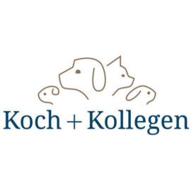 Koch + Kollegen, Zentrum für Tiermedizin