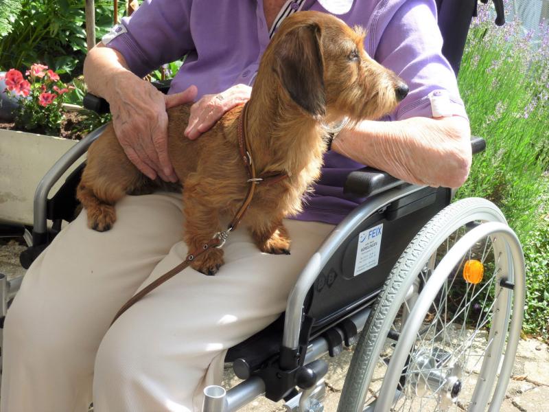 Claudia Ganzenmüller Hundeschule