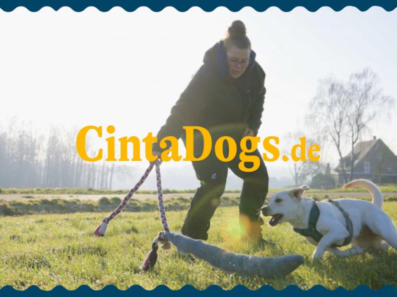 Cinta Hamacher Hundeschule "CintaDogs"