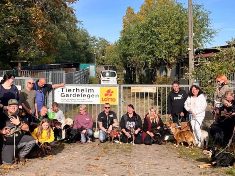 Tierschutzverein - Tierheim Gardelegen e.V.