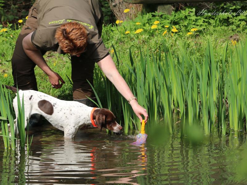 Hundeschule Litina