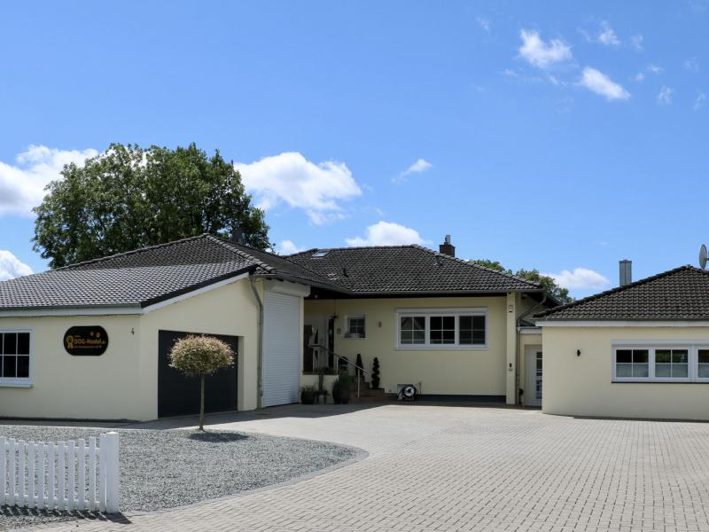 DOG-Hostel Hundepension Langwedel Schleswig Holstein