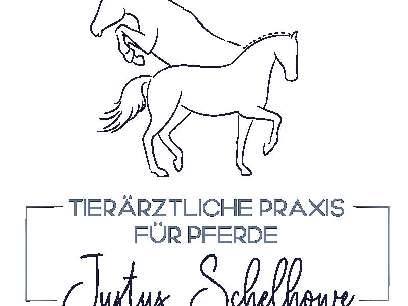 Justus Schelhowe Tierärztliche Praxis für Pferde