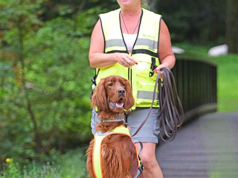 Martina Gräf Hundeschule mensch, Hund!