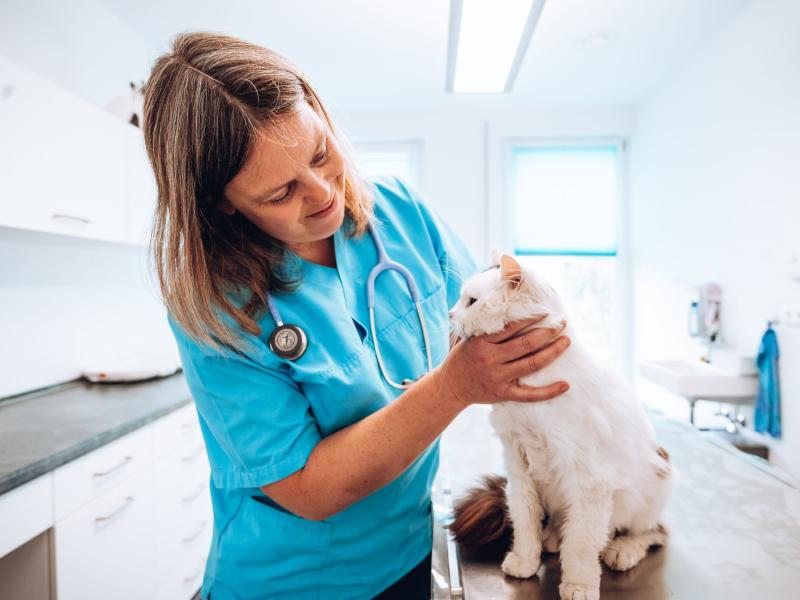 Dr. Stefanie Poller Tierarzt Tierarzt