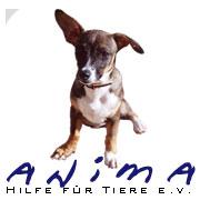 Anima, Hilfe für Tiere