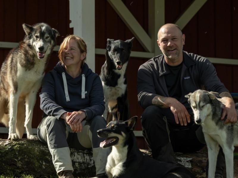 Hundeschule Terzyk, Inh. Tim Terzyk