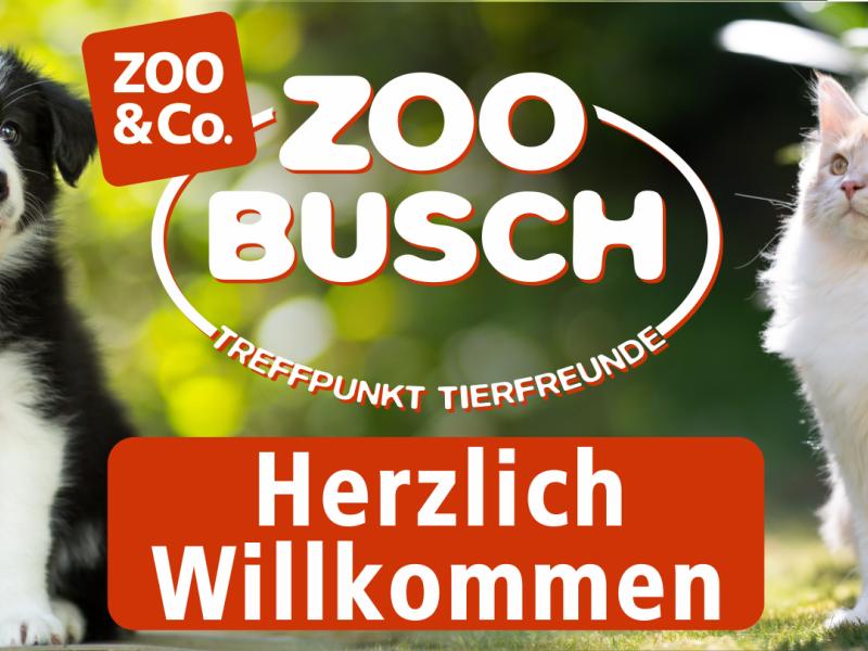 Zoo-Busch GmbH