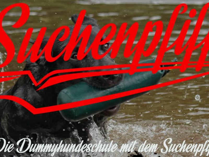 Hundeschule Suchenpfiff