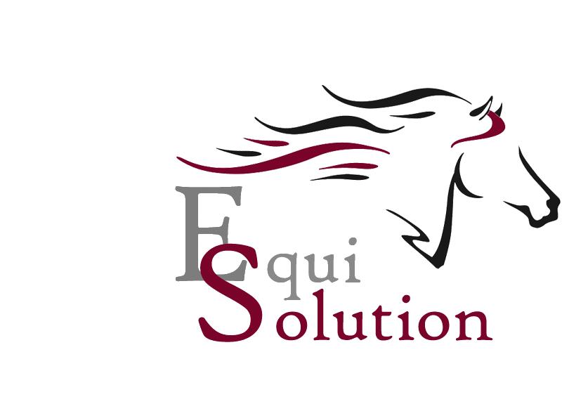 Equisolution GmbH