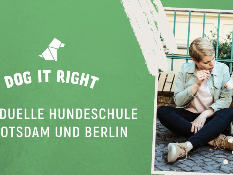 Dog It Right Lernen für Mensch und Hund