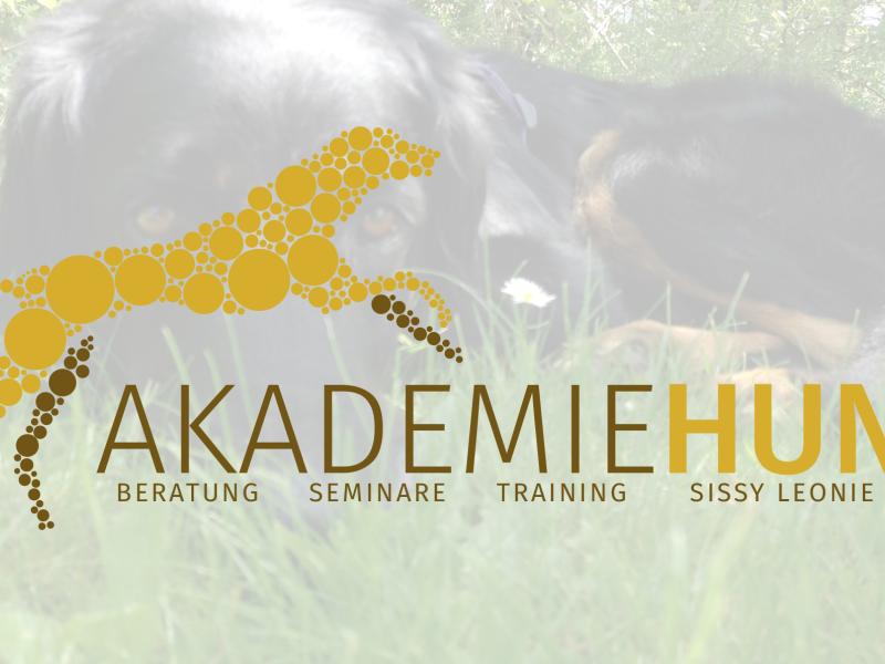 Akademie Hund