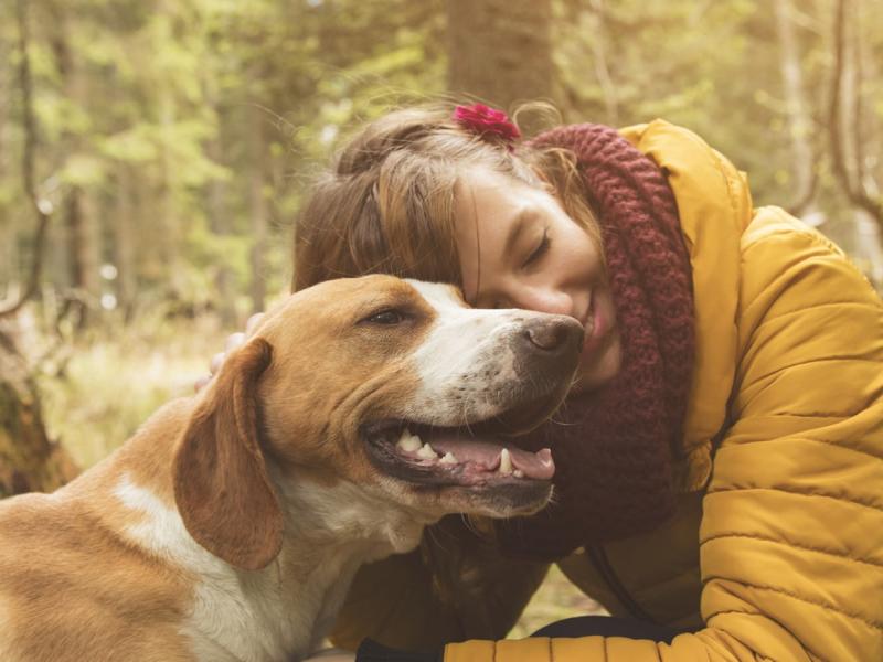 Nasse Nasen | Die Hundeschule