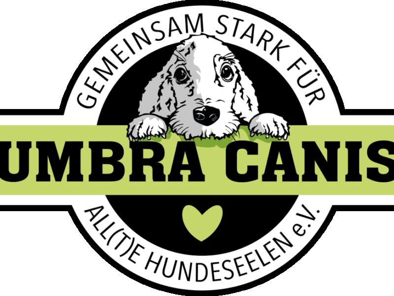 Umbra Canis - Gemeinsam stark für all(t)e Hundeseelen e.V.