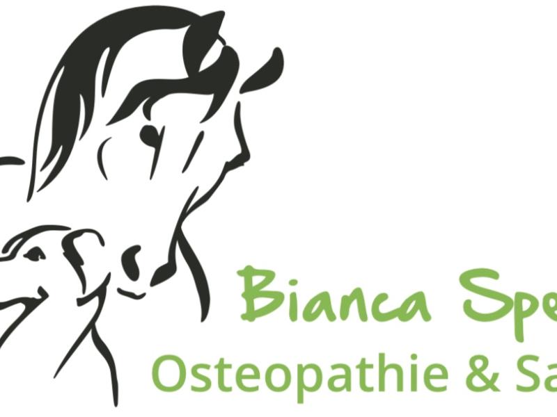 Bianca Specht Osteopathische Tierheilpraxis