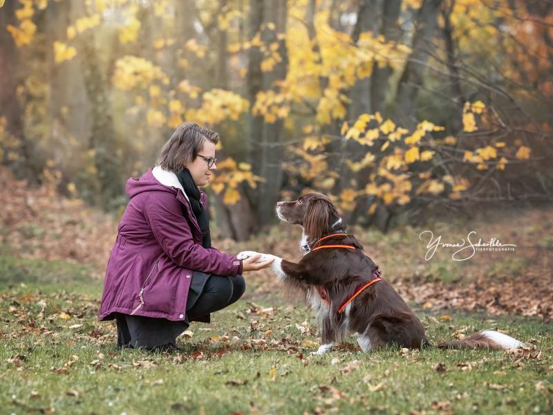 Hundetrainingszentrum Salzgitter