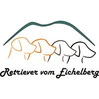 Retriever vom Eichelberg