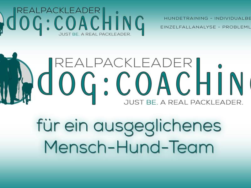 RealPackLeader - dog:coaching