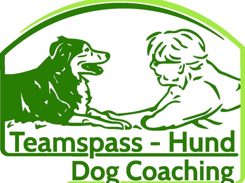 Teamspass-Hund