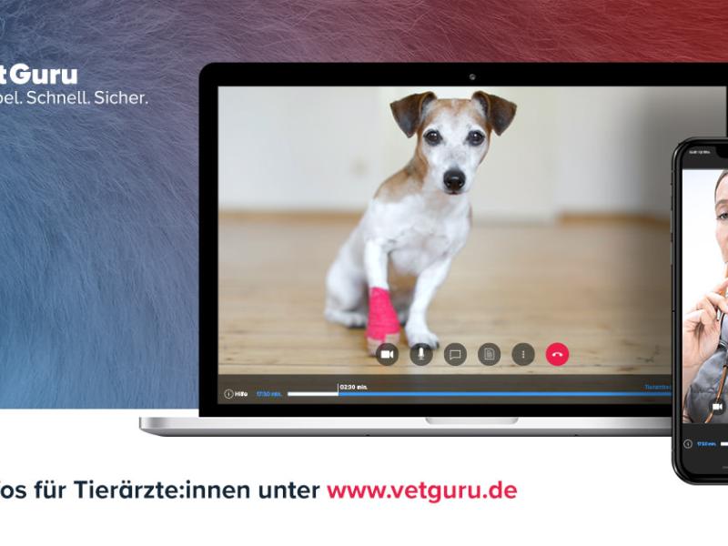 Vetguru GmbH