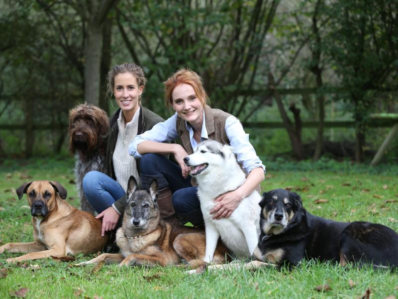 Ramona Teschner Hundetrainerin