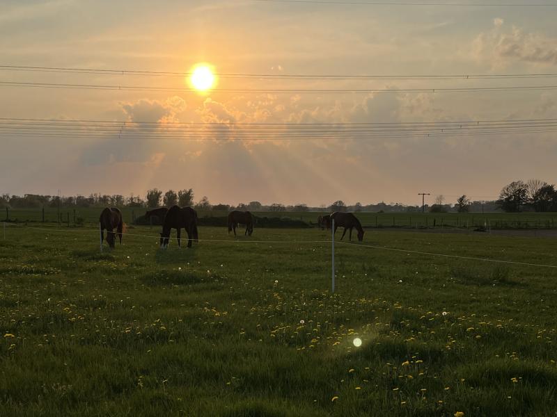 Ponyreitverein Kühlenhagen e.V.