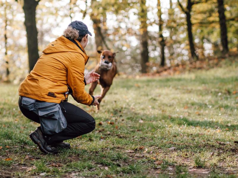 Carmen Paul Hundezucht, mobile Hundeschule