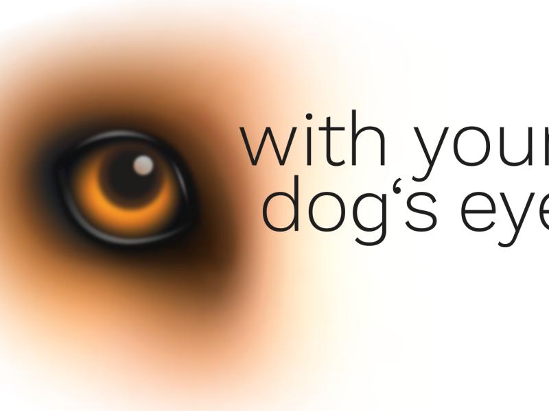 Christin Steinmeier with your dog´s eyes