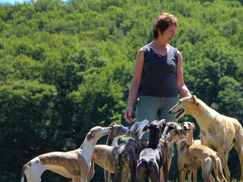 Irmtraud Heuser Hundesalon